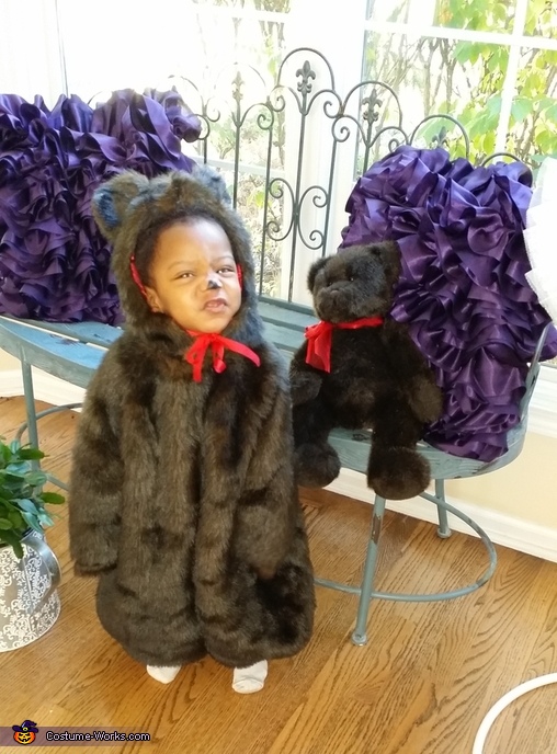 Teddy Bear Costume