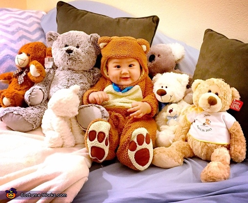 Teddy Bear Costume, Costume