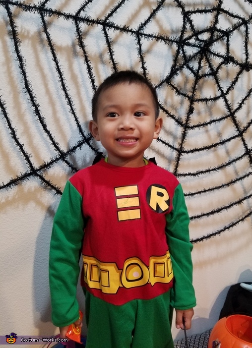 Teen Titans Costume Robin Child Large 