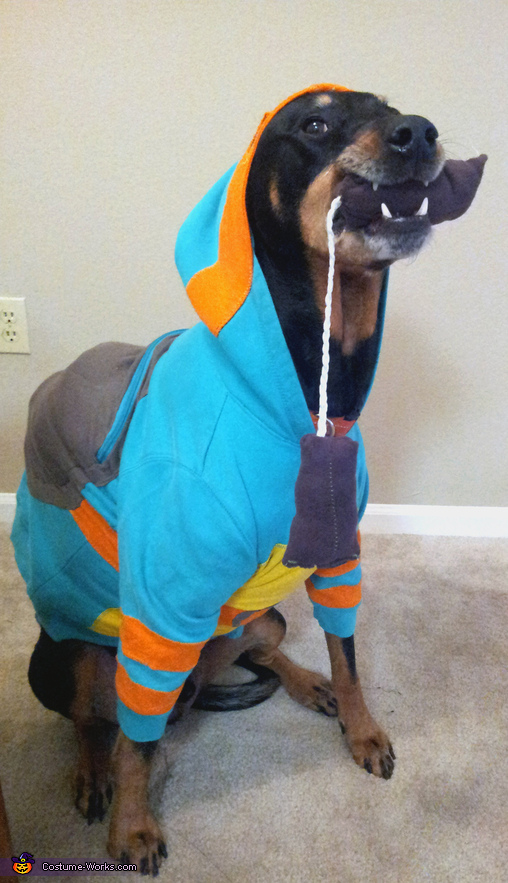 Teenage Mutant Ninja Turtle Dog Costume