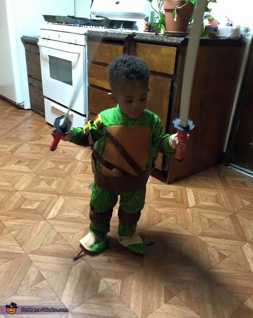 Teenage Mutant Ninja Turtle Leonardo Costume