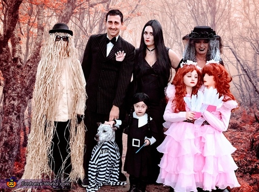 The Addams Family Costumes  Family halloween costumes, Addams family  halloween costumes, Family halloween