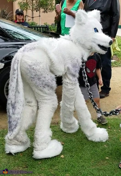 The Arctic Wolf Costume - Photo 3/8