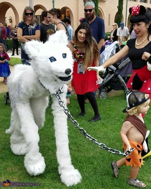 The Arctic Wolf Costume