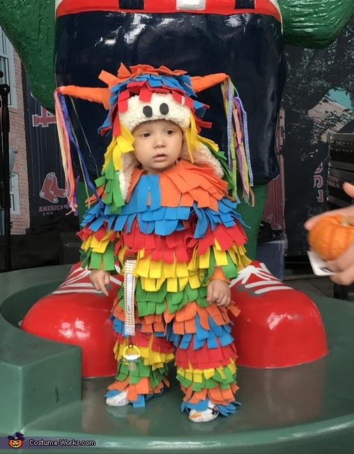 The Baby Piata Costume