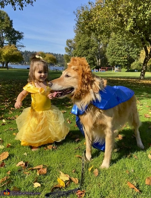 The Beauty and The Beast Costume