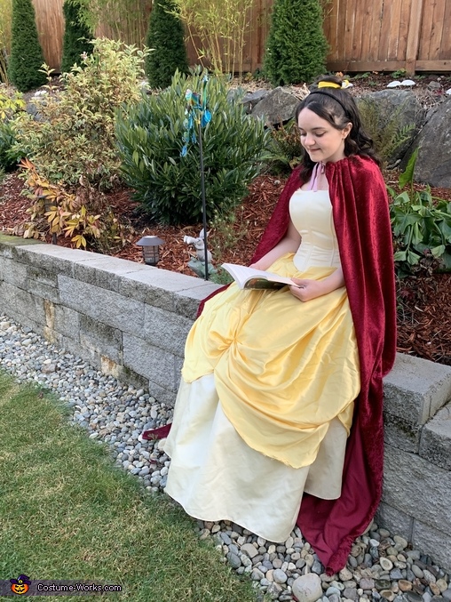 The Belle of the Ball Costume