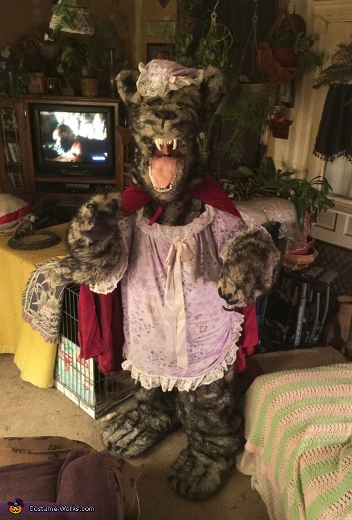 The Big Bad Wolf Costume