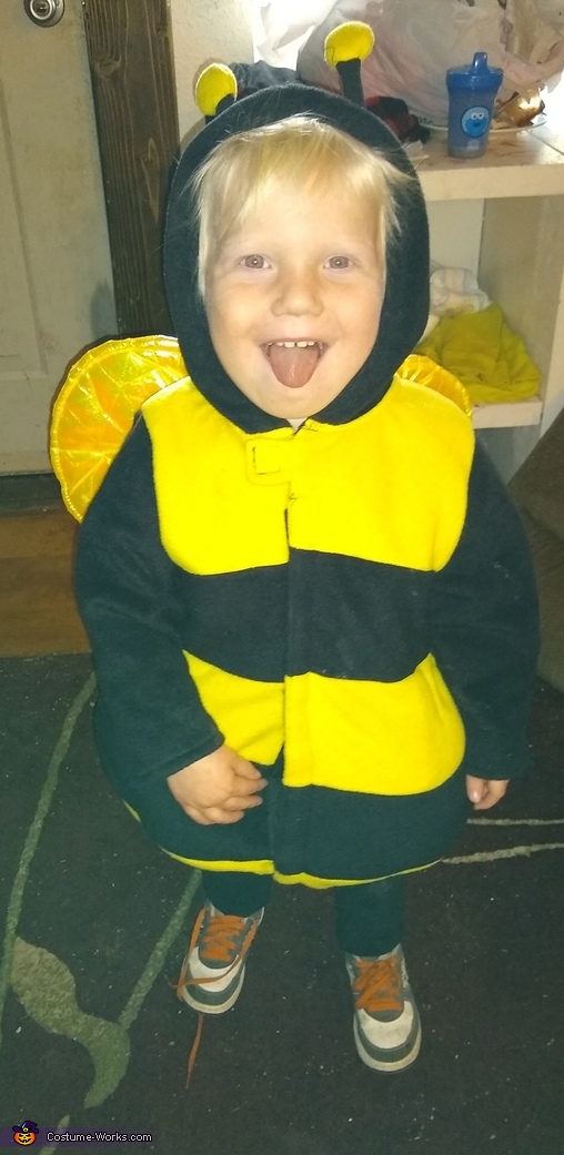 The Bumble Bee Costume