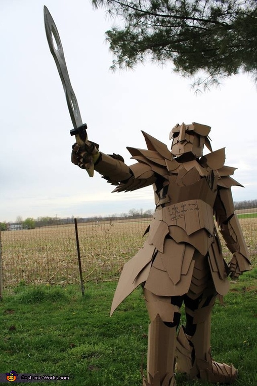 The Cardboard Warrior Costume