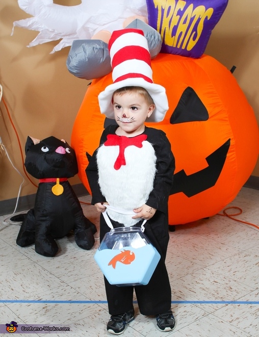The Cat in the Hat Costume | Coolest DIY Costumes