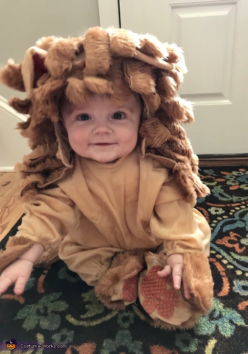 The Cutest Cowardly Lion Costume