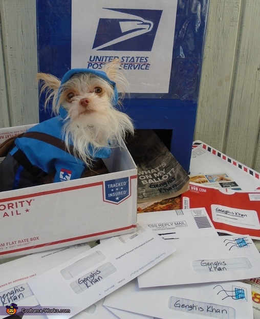 The Cutest Mailman Costume