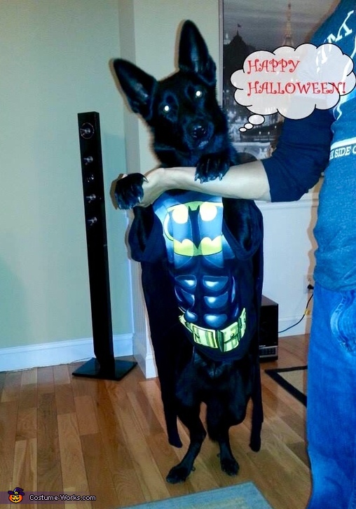 The Dark Knight Batman or Batdog Costume