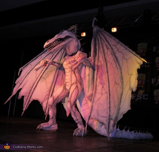 The Dragon from Harry Potter Costume