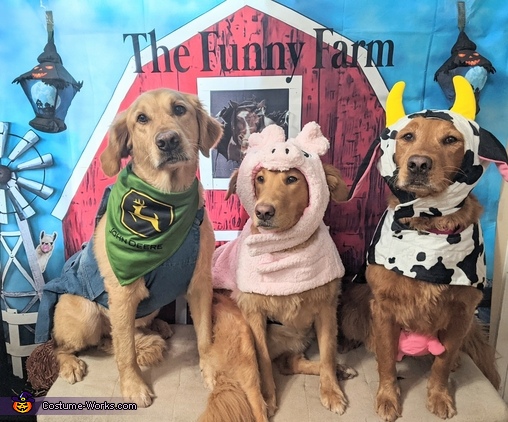 The Funny Farm Costume