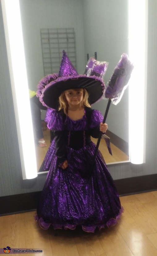 The Good Witch Costume