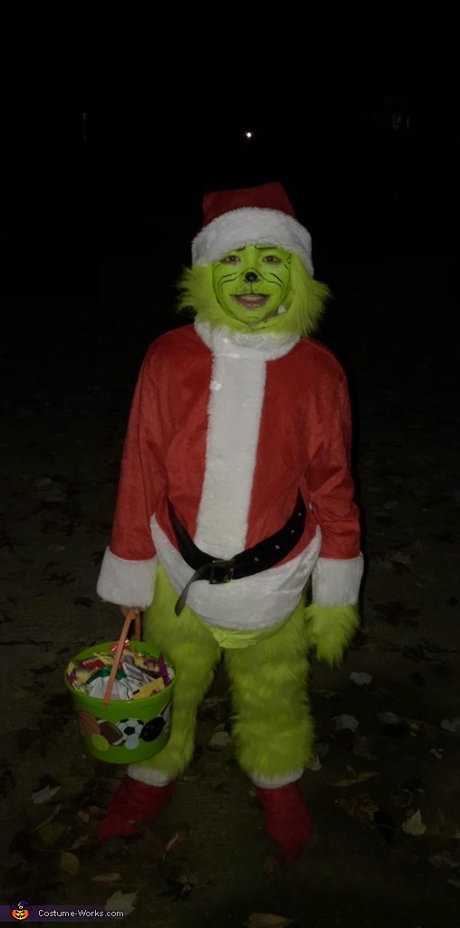 The Grinch Costume