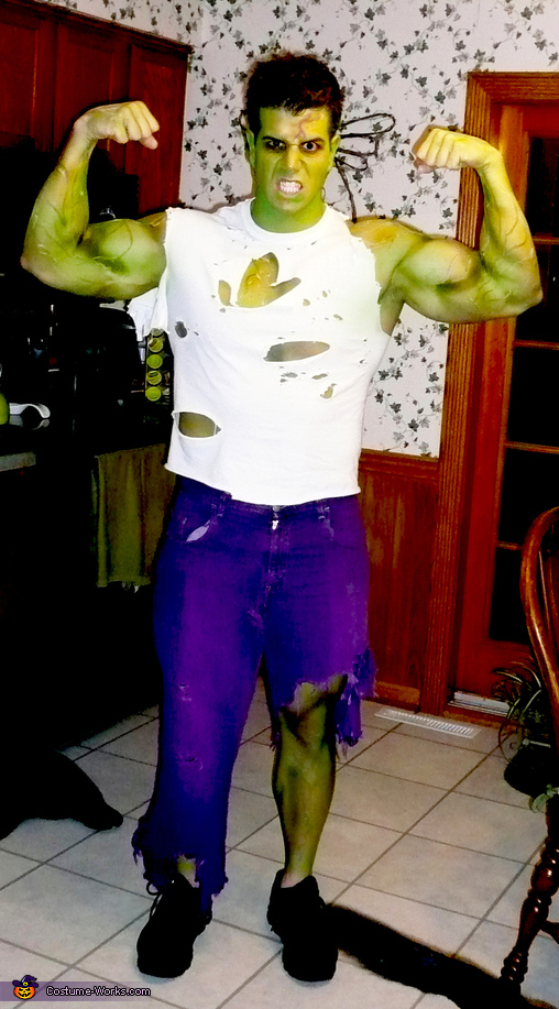 The Incredible Hulk Adult Costume