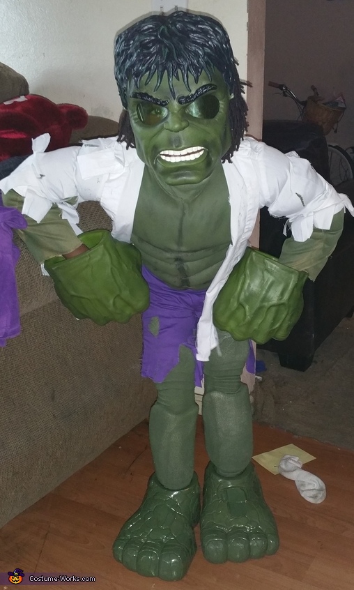 nåde på en ferie Spanien The Incredible Hulk DIY Costume | Last Minute Costume Ideas
