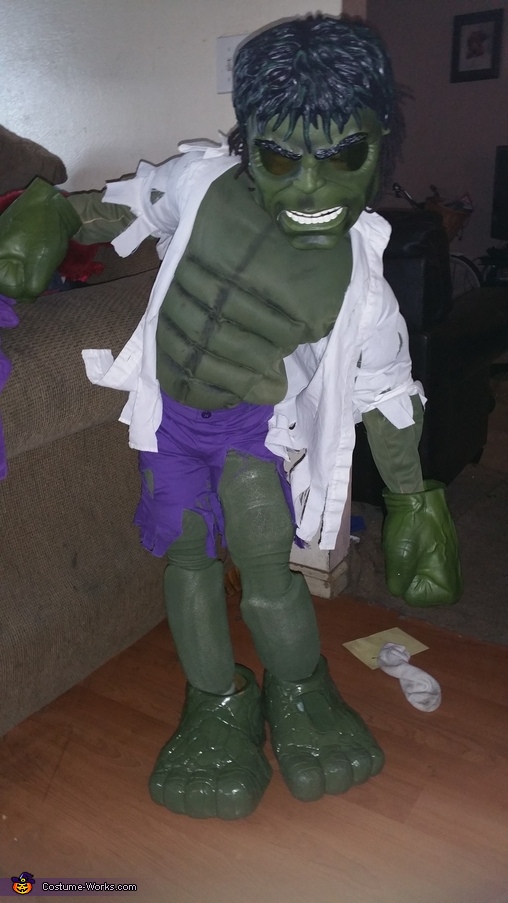The Incredible Hulk DIY Costume | Last Minute Costume Ideas - Photo 5/7