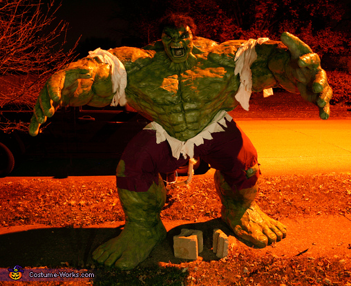 The Incredible Hulk Costume