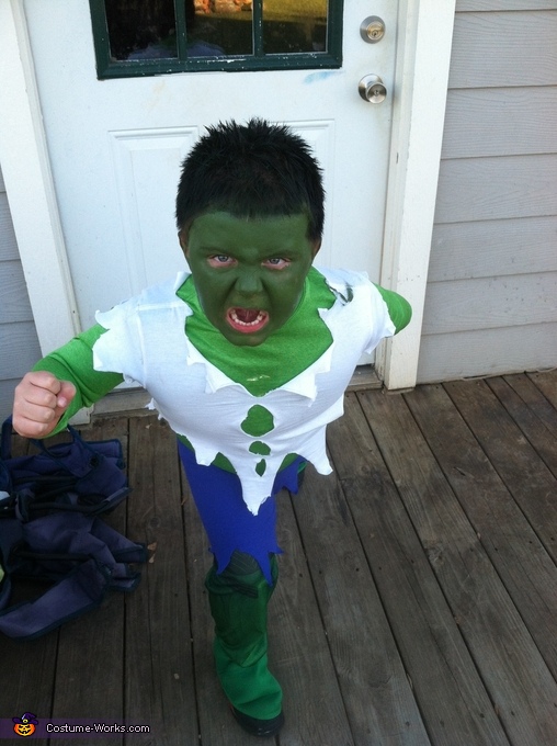 The Incredible Hulk Boy's Halloween Costume | Easy DIY Costumes - Photo 3/5