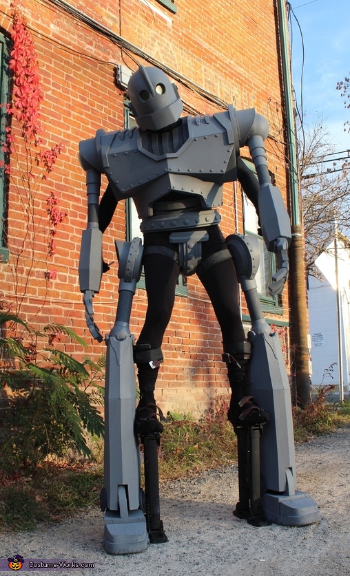 The Iron Giant Costume