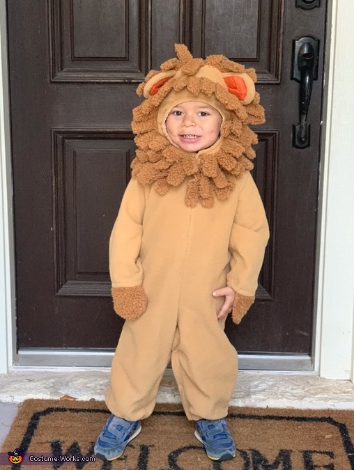 The Lion King Costume