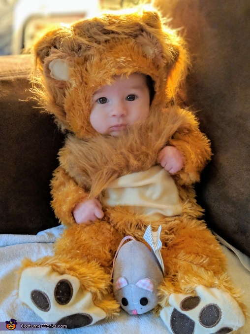 The Lion King Baby Costume | Halloween Party Costumes