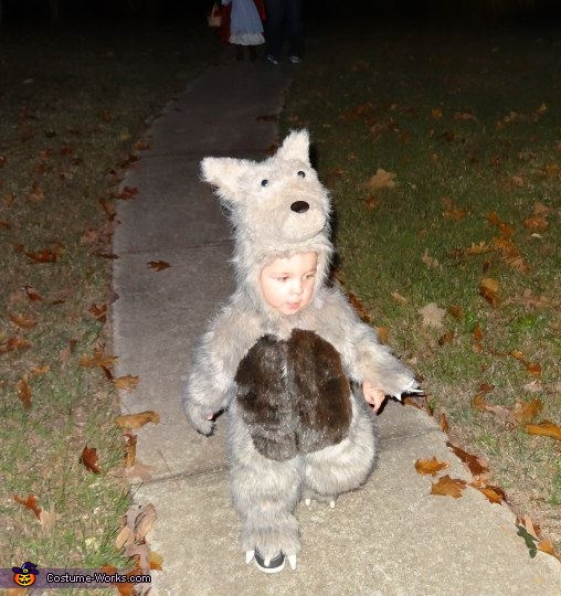 The Little Bad Wolf Costume