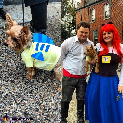 Disney Princess Flounder Dog Costume