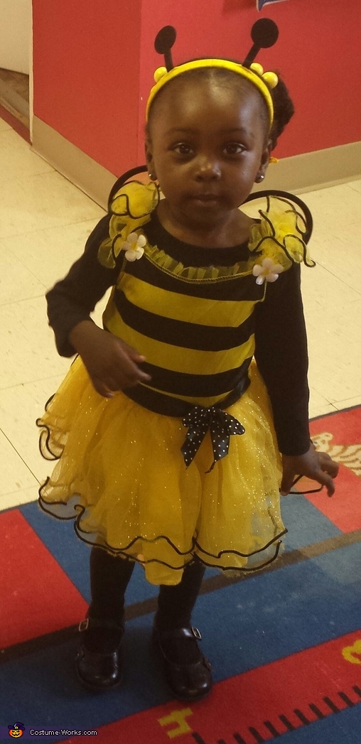 The Little Queen Bee Costume