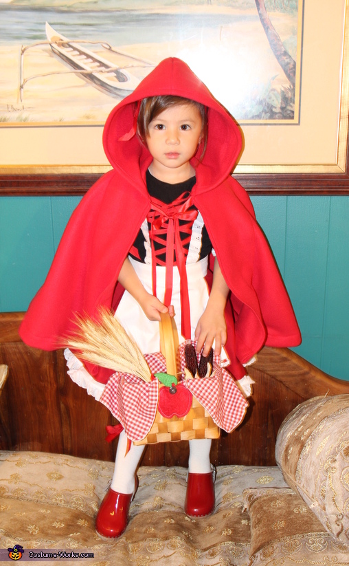 The Little Red Ridding Hood Costume Creative Diy Costumes