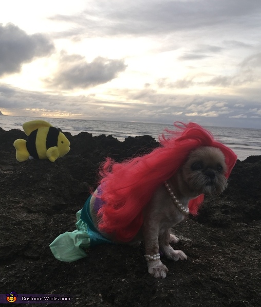 The Littlest Mermaid Dog Costume