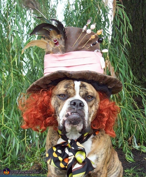 The Mad Hatter Costume