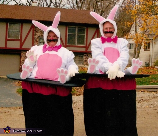 The Magician's Bunnies Couple Costume