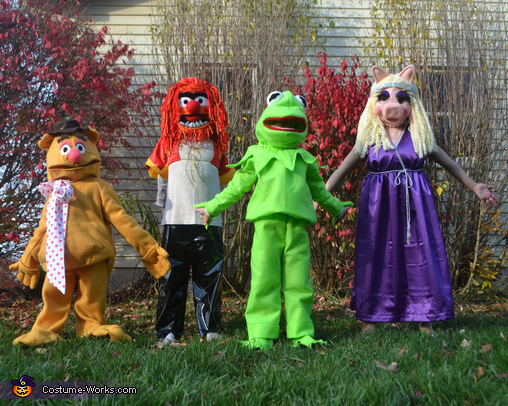 The Muppets Costumes
