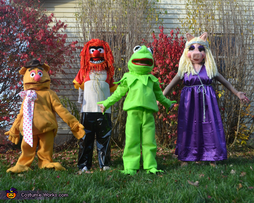 The Muppets Costume