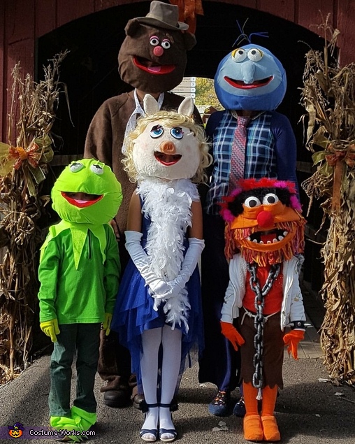 The Muppets Costume