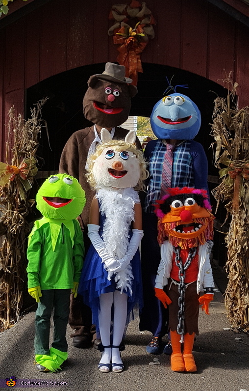 The Muppets Family Costume