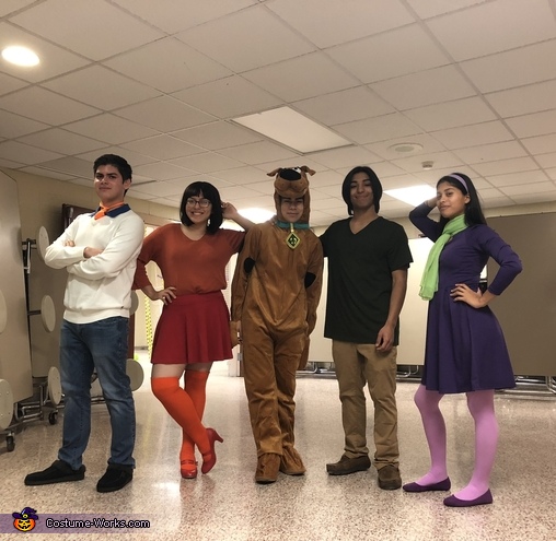 The Mystery Gang Costume