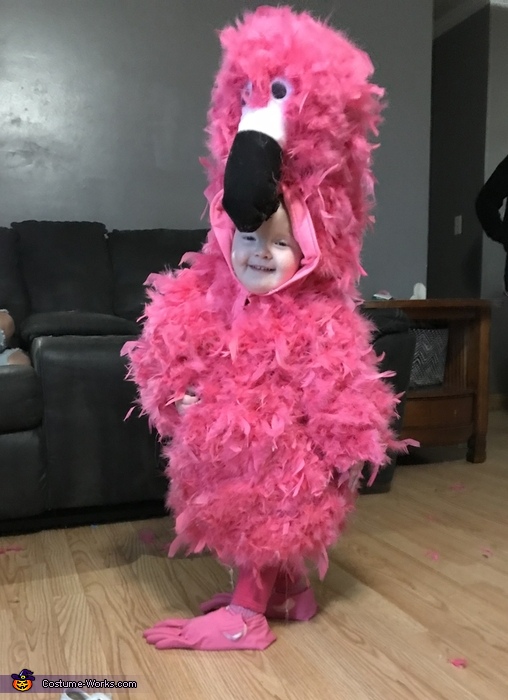 homemade flamingo costume