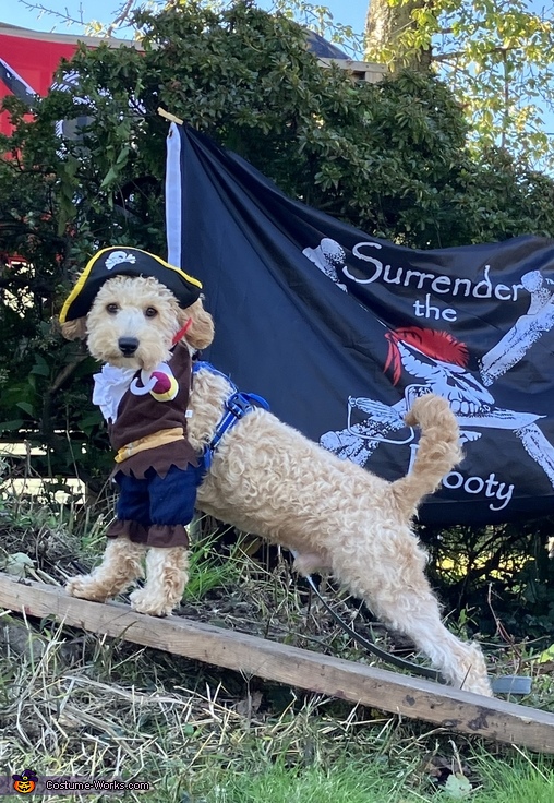 The Pirate of Parnassus Costume