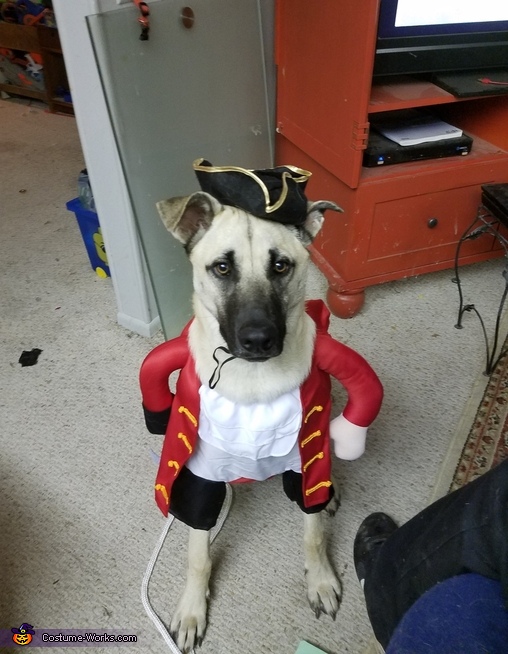 The Pirates Costume