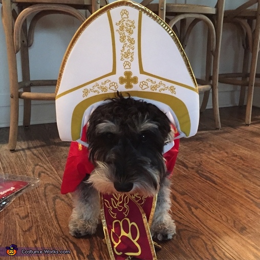 The Pope of Pups Costume