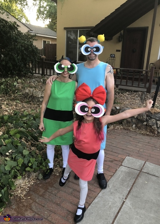 The Powerpuff Girls Family Costume