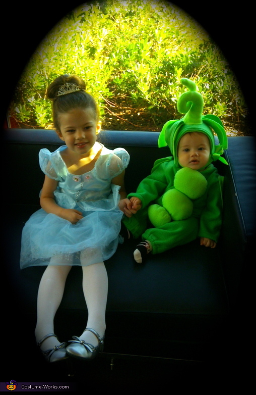 The Princess and The Pea Costume