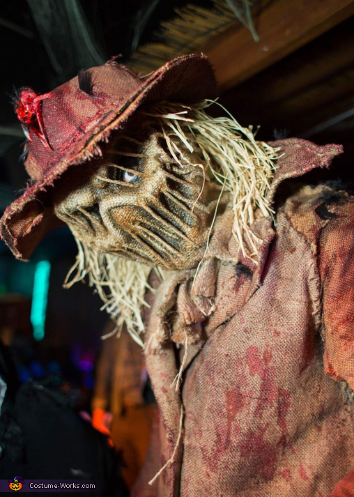 The Scarecrow Costume