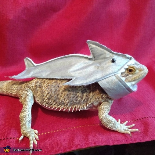 The Shark Lizard Costume